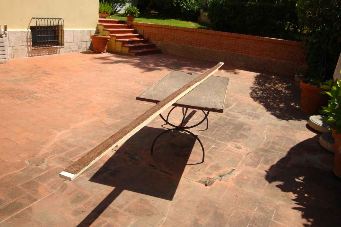 [Immagine: 2011514193723_pelle timone 2.jpg]